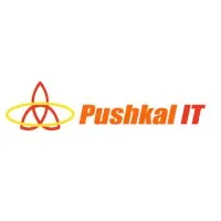 Pushkal IT Solution
