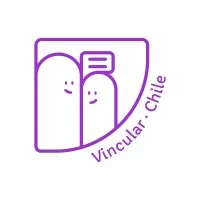 Vincular Chile Vincular Chile