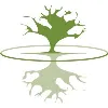 Diamond Head Consulting Ltd. Diamond Head Consulting Ltd.