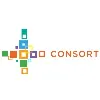 Consort Partners Consort Partners