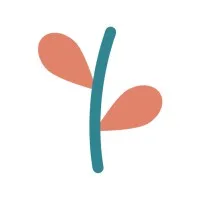 Democracy Policy Network