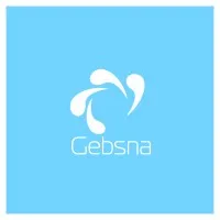 Gebsna Business Solutions