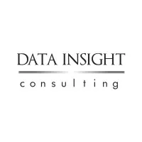 Data Insight Consulting
