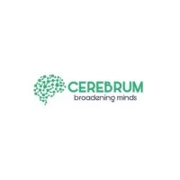 Cerebrum Infotech