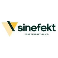 Sinefekt email address