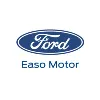 Ford Easo Motor