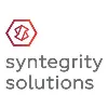 Syntegrity Solutions Syntegrity Solutions