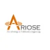 Ariose Software Private Limited Ariose Software Private Limited