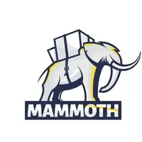 Mammoth Corporation