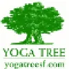Yoga Tree San Francisco Yoga Tree San Francisco