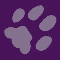 Furever Bookkeeping, Accounting & CFO Services