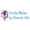 Vendas Diárias S/A Vendas Diárias S/A
