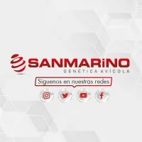 Agroavicola Sanmarino S.A