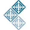 Center for Arab American Philanthropy (CAAP) Center for Arab American Philanthropy (CAAP)