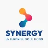 Synergy Enterprise Solutions Synergy Enterprise Solutions