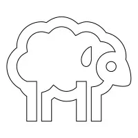White Sheep LLC White Sheep LLC