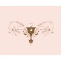 Wise Womb Foundation