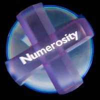 Numerosity Numerosity