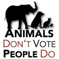CT Votes for Animals