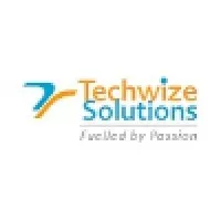 Techwize Solutions