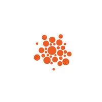 SWARM SWARM