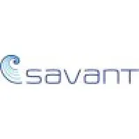 Savant Ltd