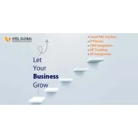 Vitelglobal Communications LLC