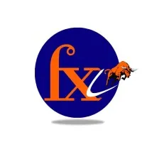 FINXL