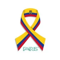 FAIRIS C.A