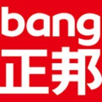 ZhengBang Brand Identity & Consultant