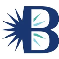 Bright Career Branding