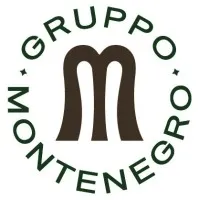 Gruppo Montenegro verified emails