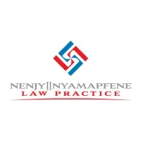 NENJY Nyamapfene LAW Practice