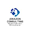 Amazon Consulting LLC Amazon Consulting LLC