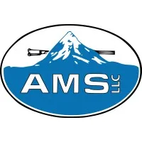 American Mine Services