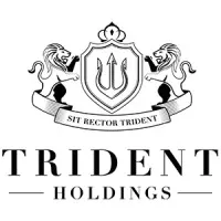 Trident Holdings