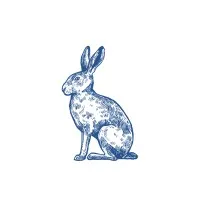 Blue Rabbit Digital