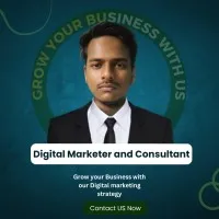 Professional Digital Marketer