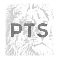 Professional Tax Services