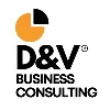 D&V Business Consulting D&V Business Consulting
