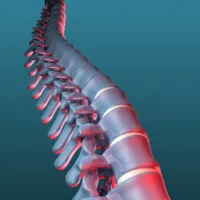 Complete Wellness Chiropractic Complete Wellness Chiropractic