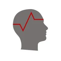 Brain Vision Solutions Inc.