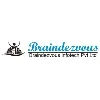 BRAINDEZVOUS INFOTECH PRIVATE LIMITED BRAINDEZVOUS INFOTECH PRIVATE LIMITED