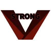 V-strong Electronics 威斯创电子