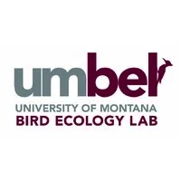 University of Montana Bird Ecology Lab University of Montana Bird Ecology Lab
