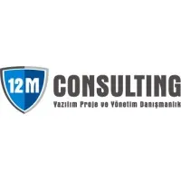 12M Consulting