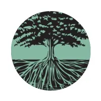 Alluvial Private Wealth