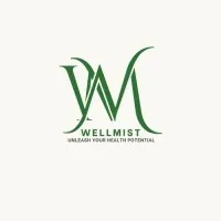 Wellmist Wellmist