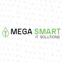 Mega Smart