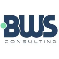 BWS Consulting